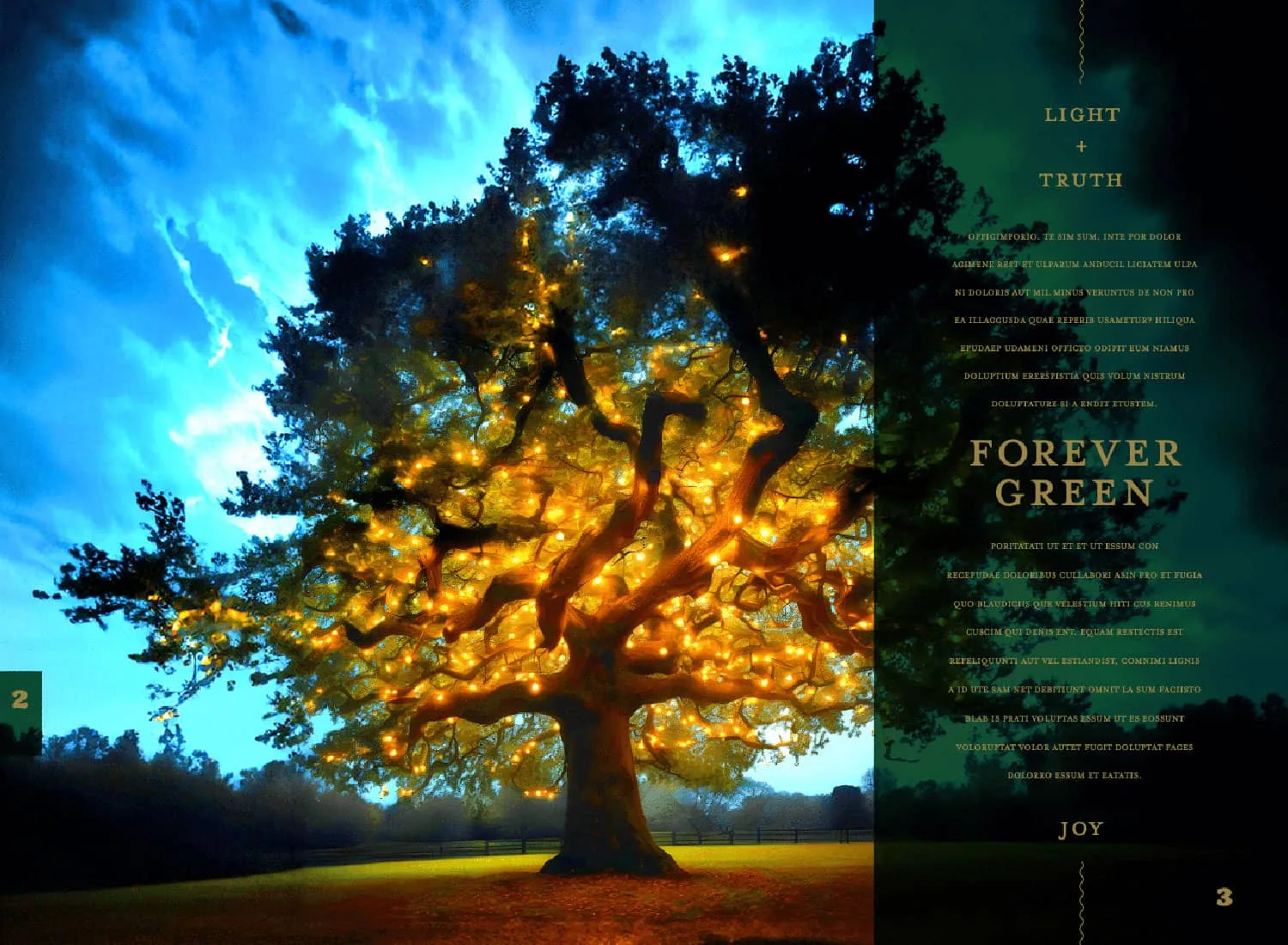 Style Guide Introduction 2